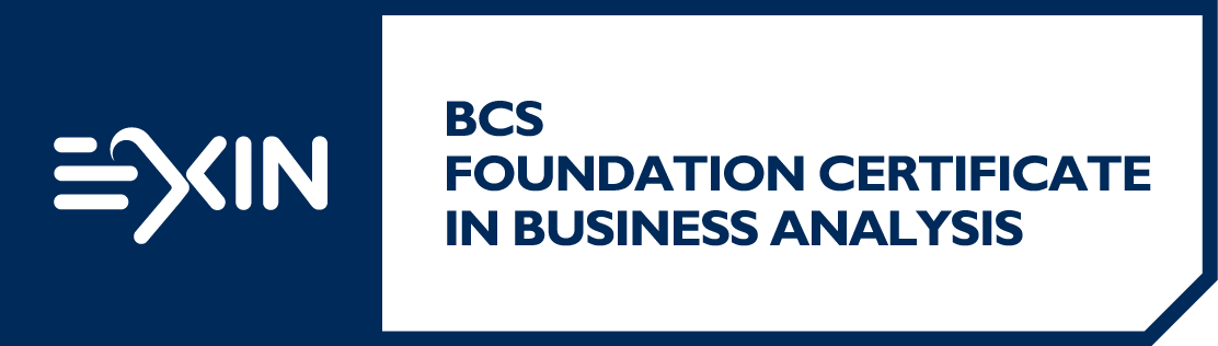 BCS Business Analyst Practice