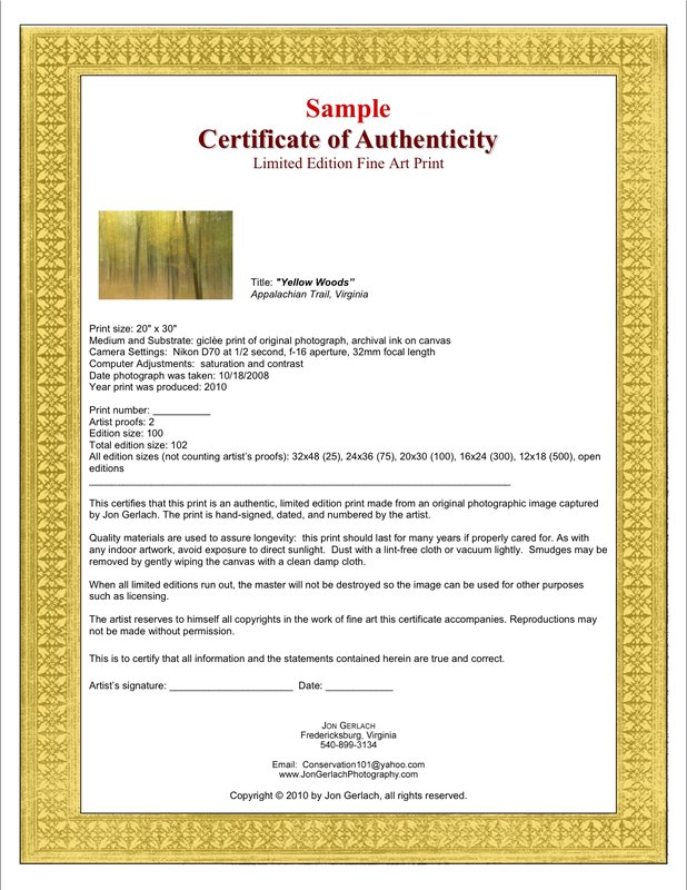 Certificates of Authenticity | Artsy Shark