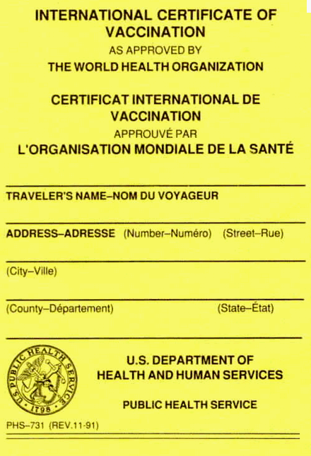Yellow Fever Vaccine Certificate Davao – Candid Sojourns