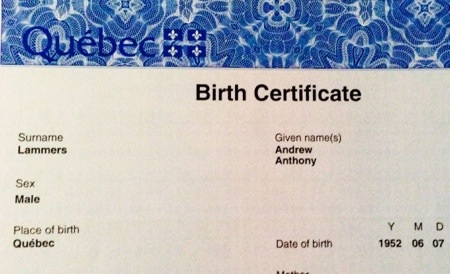 Certificate Of Birth Template Free Performance Review Templates 