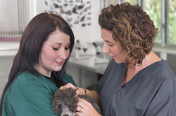 Certificate II in Animal Studies | TAFE NSW Hunter & Central Coast