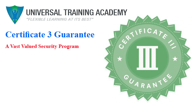 Certificate 3 Guarantee: A Vast Valued Security Program 