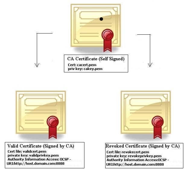 X.509 V3 certificate [12]