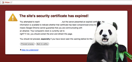 How An Expired SSL Certificate Could Impact SEO Traffic For 