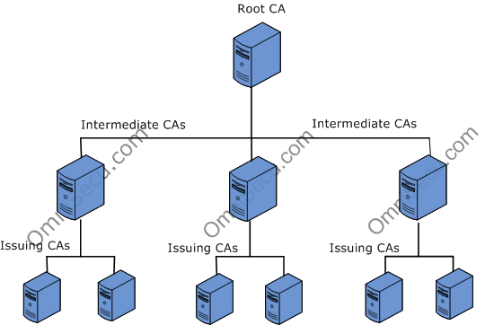 Certificate Chains (Sun Java System Directory Server Enterprise 