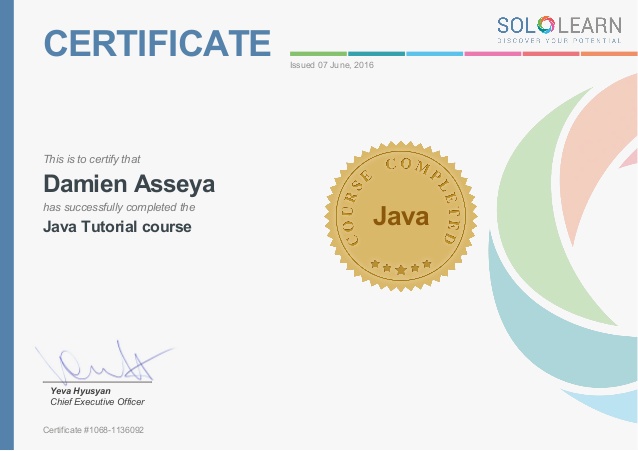 Sololearn Certificate – Java Tutorial Course – Francesco Urbano
