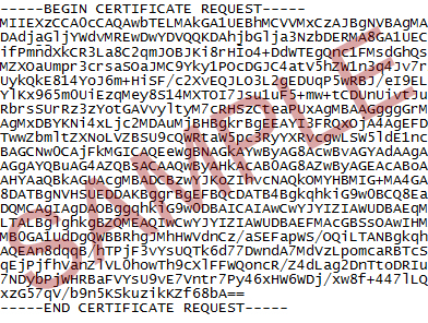 CSR Checker: CSR Decoder Verifies Contents of CSR Key CSR Checker: CSR Decoder Verifies Contents of CSR Key