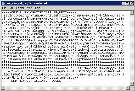 Securing an Exchange 2007 Client Access Server using a 3rd party 