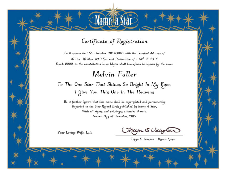 Great Papers® Gold Star Burst Foil Certificate Seals, 48/Pack Great Papers® Gold Star Burst Foil Certificate Seals, 48/Pack