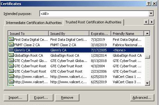 TLS on Windows: Setting Up Digital Certificates :: Encryption in 