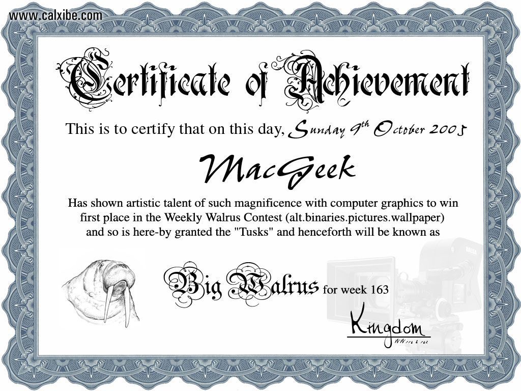 Miscellaneous: Certificate of Achivement, picture nr. 12715