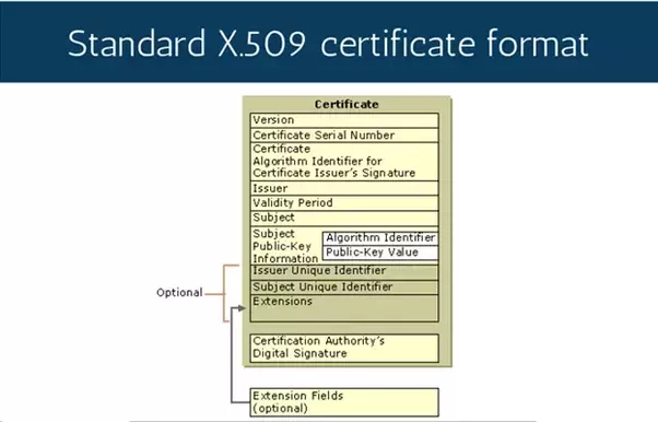 Digital certificate contents